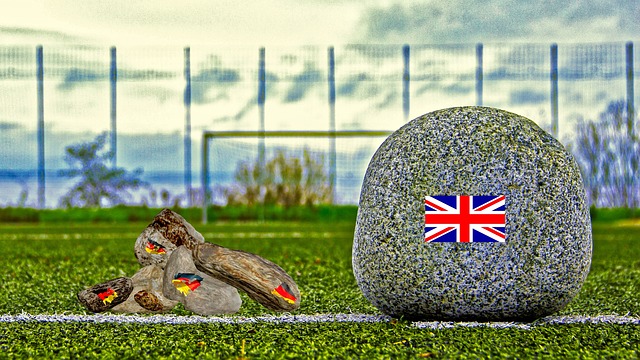 不仅推动国 不仅推动国