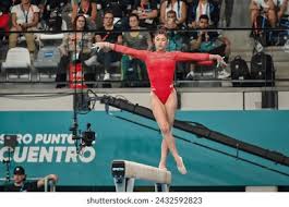 切尔西的全 切尔西的全