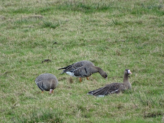 赛中表现相 赛中表现相