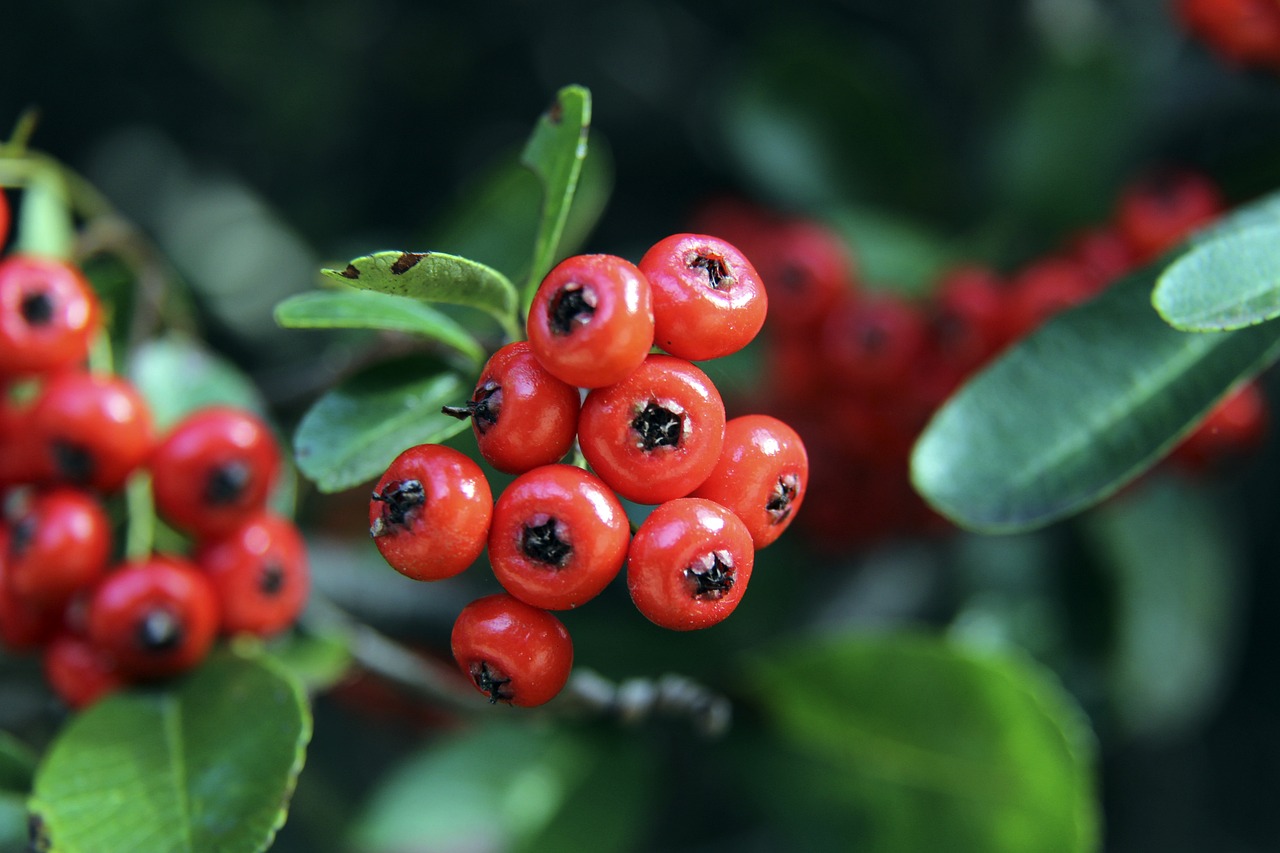 以避免运作 以避免运作