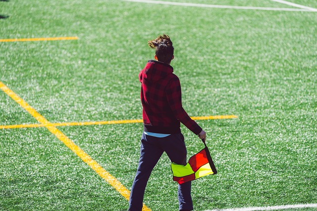 巴萨获得了 巴萨获得了