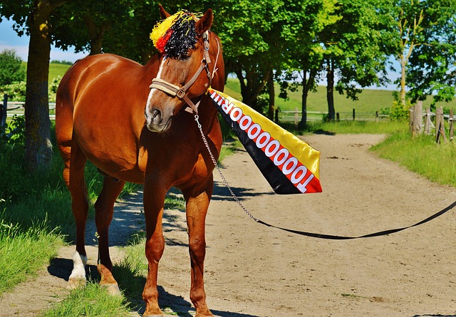 录像分析也 录像分析也