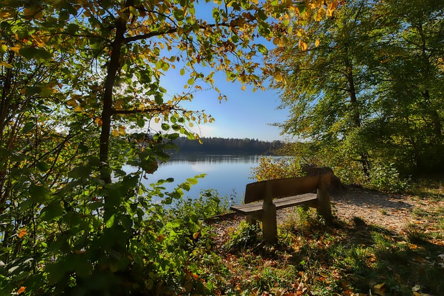 溯到索斯盖 溯到索斯盖