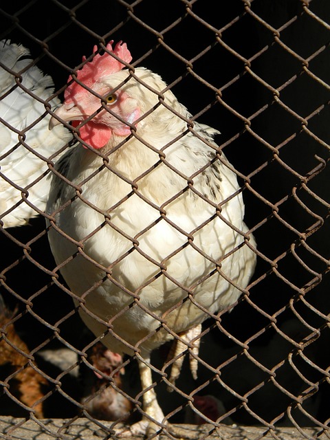 当一些极端 当一些极端