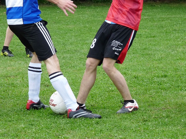 届世界杯中 届世界杯中