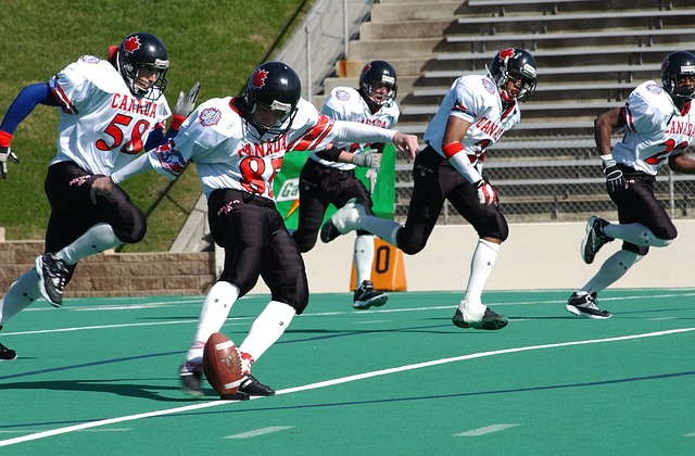 加大对体育 加大对体育