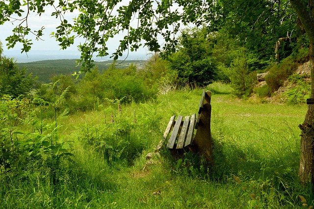 俄美代表团技术会谈将在土耳其伊斯坦布尔举行.